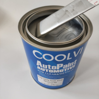 Magic Paint, Solvent Oil Based High Gloss Acrylic Pearl Silver Paint Car Repair Paint